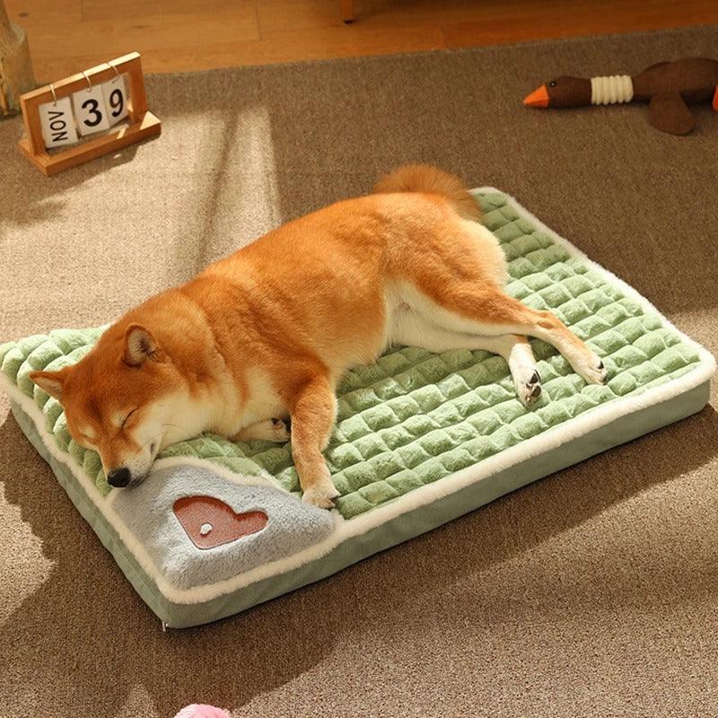 Cama para Pet