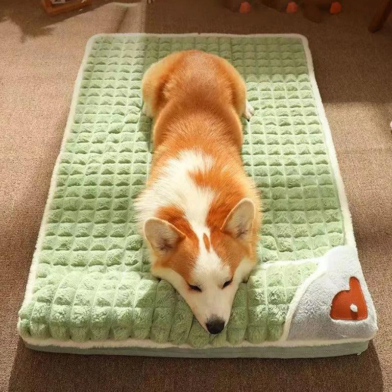 Cama para Pet