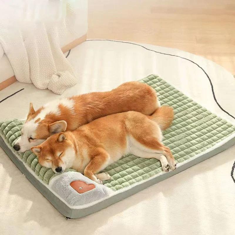 Cama para Pet